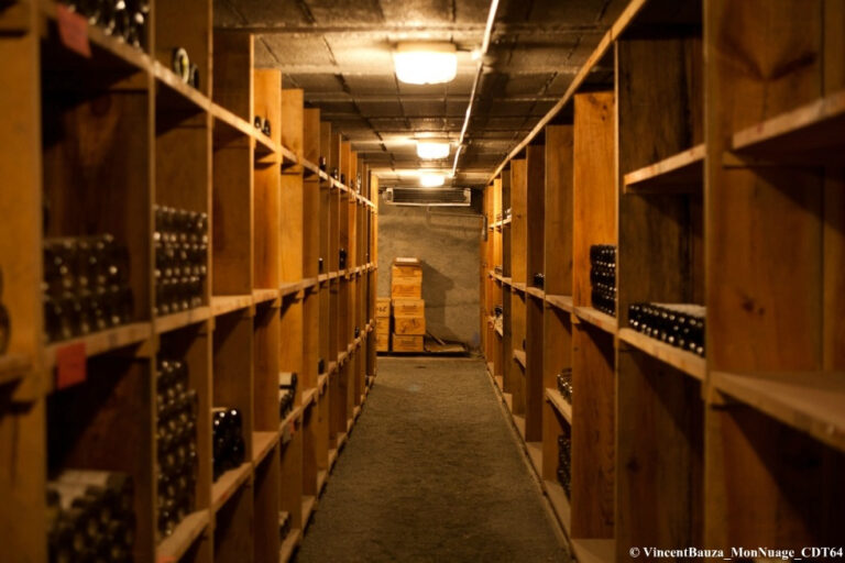 Comment créer et organiser sa cave à vins personnelle ?