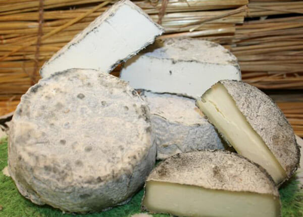 Fromages cendrés