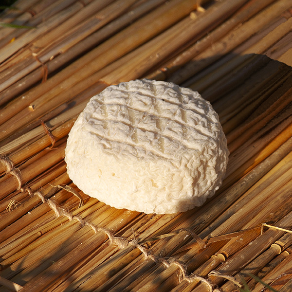 Le Crottin des Gors est un grand classique des fromages de chèvre.