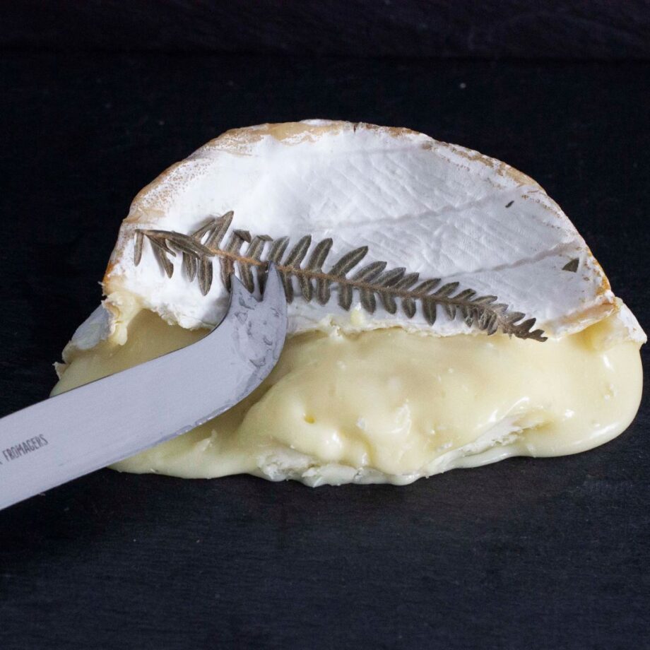 Fougerus : Fromage à croûte fleurie au lait de Vache
